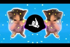 DJ KICAU KICAU KICAU MANIA SLOW VIRAL TIKTOK FULL SONG MAMAN FVNDY 2026