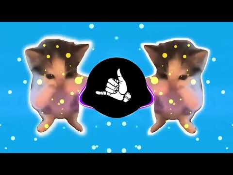 DJ KICAU KICAU KICAU MANIA SLOW VIRAL TIKTOK FULL SONG MAMAN FVNDY 2026