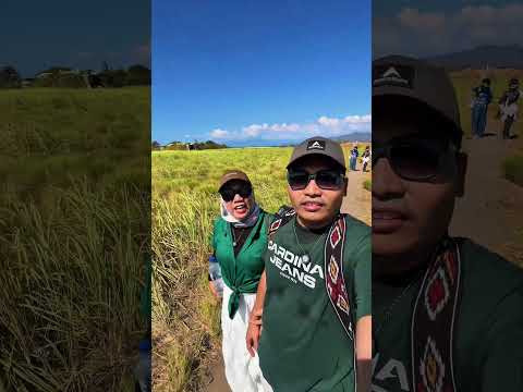 PENDAKIAN BERSAMA BUKIT KENAWA NUSA TENGGARA BARAT