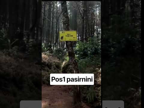 BukitTunggul via bincarung #pendaki #adventure #bandung