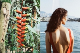building-community-frame-by-frame-with-swiss-film-club
