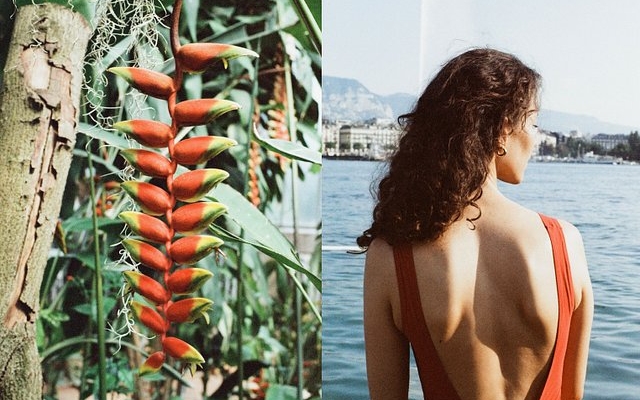 building-community-frame-by-frame-with-swiss-film-club