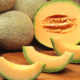 mengintip-demaji-melon-garden,-agrowisata-hits-yang-bikin-petani-purworejo-naik-kelas