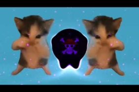 DJ KICAU KICAU KICAU MANIA SLOW VIRAL TIKTOK FULL SONG TERBARU 2026