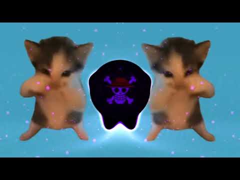 DJ KICAU KICAU KICAU MANIA SLOW VIRAL TIKTOK FULL SONG TERBARU 2026