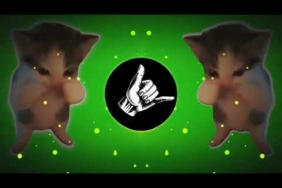 DJ KICAU KICAU MANIA SLOW VIRAL REMIX FULL SONG VIRAL TIKTOK TERBARU 2026 YANG KALIAN CARI!!