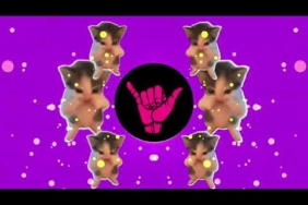 DJ KICAU KICAU KICAU MANIA SLOW VIRAL TIKTOK FULL SONG MAMAN FVNDY 2026