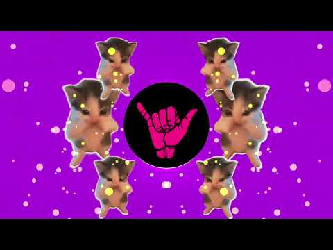 DJ KICAU KICAU KICAU MANIA SLOW VIRAL TIKTOK FULL SONG MAMAN FVNDY 2026