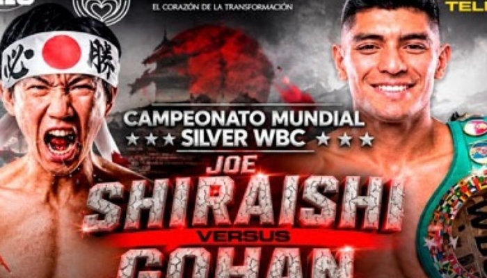 rodriguez-diuji-petinju-jepang-untuk-pertahanan-sabuk-juara-wbc