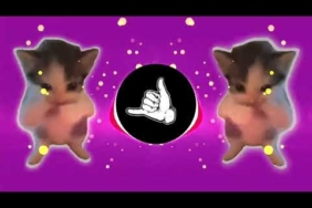 DJ KICAU KICAU KICAU MANIA SLOW VIRAL TIKTOK FULL SONG MAMAN FVNDY 2026