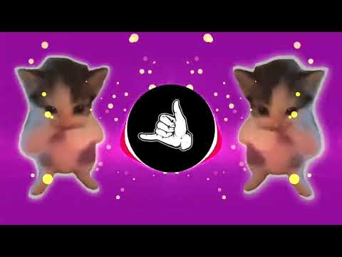 DJ KICAU KICAU KICAU MANIA SLOW VIRAL TIKTOK FULL SONG MAMAN FVNDY 2026