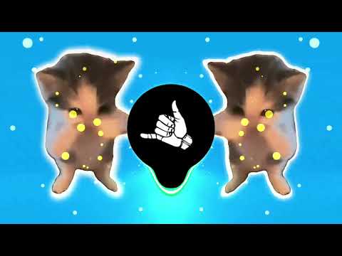 DJ KICAU KICAU KICAU MANIA SLOW VIRAL TIKTOK FULL SONG MAMAN FVNDY 2026