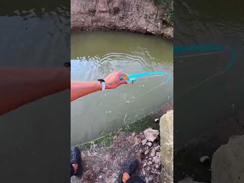 Joran junior emang andalan 😋 #mancingikan #mancing #mancingmania