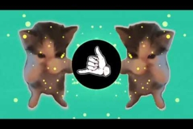 DJ KICAU KICAU KICAU MANIA SLOW VIRAL TIKTOK FULL SONG MAMAN FVNDY 2026
