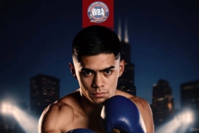 mendoza-hentikan-sandoval-untuk-rebut-sabuk-juara-wba-dan-wbc
