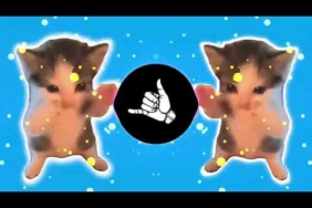 DJ KICAU KICAU KICAU MANIA SLOW VIRAL TIKTOK FULL SONG MAMAN FVNDY 2026