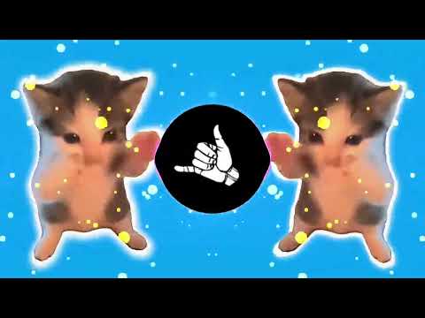 DJ KICAU KICAU KICAU MANIA SLOW VIRAL TIKTOK FULL SONG MAMAN FVNDY 2026