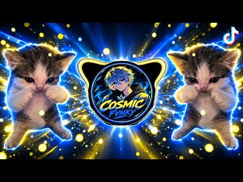 DJ KICAU KICAU KICAU MANIA SLOW VIRAL TIKTOK FULL SONG MAMAN FVNDY 2026