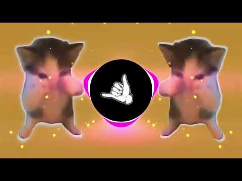 DJ KICAU KICAU KICAU MANIA SLOW VIRAL TIKTOK FULL SONG MAMAN FVNDY 2026