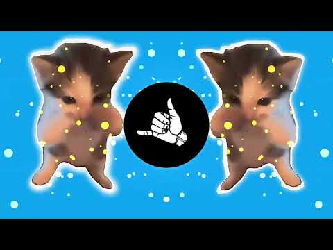 DJ KICAU KICAU KICAU MANIA SLOW VIRAL TIKTOK FULL SONG MAMAN FVNDY 2026