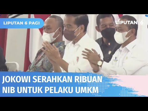 Presiden Jokowi Serahkan Nomor Induk Berusaha ke Ribuan Pelaku UMKM | Liputan 6