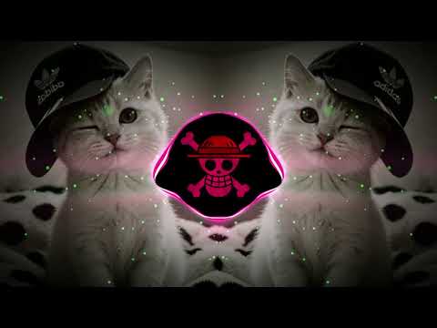 DJ KICAU KICAU KICAU MANIA SLOW VIRAL TIKTOK FULL SONG MAMAN FVNDY 2026