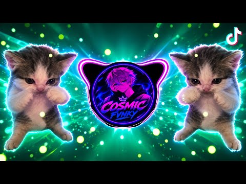 DJ KICAU KICAU KICAU MANIA SLOW VIRAL TIKTOK FULL SONG MAMAN FVNDY 2026