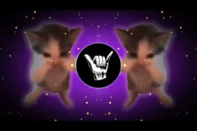 DJ KICAU KICAU MANIA SLOW VIRAL REMIX FULL SONG VIRAL TIKTOK TERBARU 2026 YANG KALIAN CARI!!