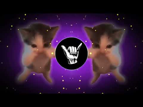 DJ KICAU KICAU MANIA SLOW VIRAL REMIX FULL SONG VIRAL TIKTOK TERBARU 2026 YANG KALIAN CARI!!