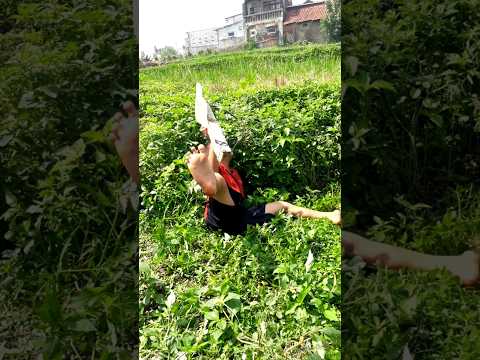 gitar kicau mania #shorts #funny