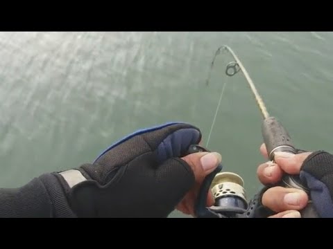 mancing di pemecah ombak!! strike berjamaah
