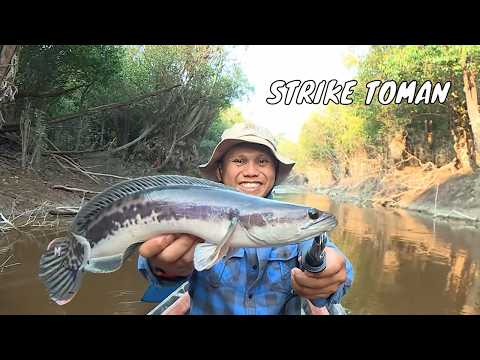 Casting Berburu Tarikan Predator Air Tawar | MANCING MANIA STRIKE BACK (12/09/26) P1