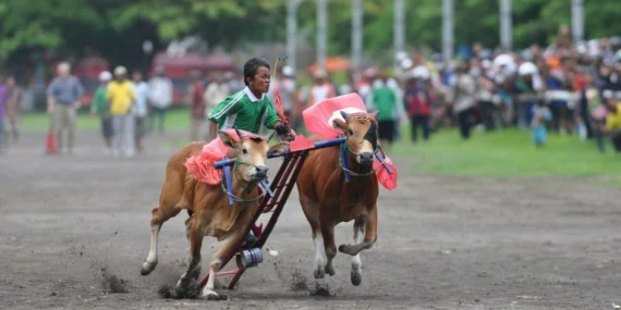Saya orang Madura dan mengakui kalau kami memang keras kepala