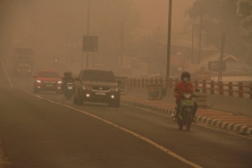 idai-minta-pemerintah-lebih-serius-tangani-karhutla
