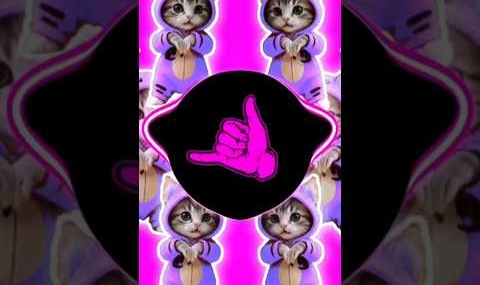 DJ KICAU KICAU KICAU MANIA SLOW VIRAL TIKTOK FULL SONG MAMAN FVNDY 2026