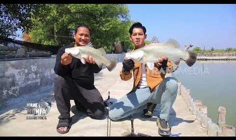 [FULL] VARIASI PREDATOR JAWA TIMUR | MANCING MANIA STRIKE BACK (09/08/26)