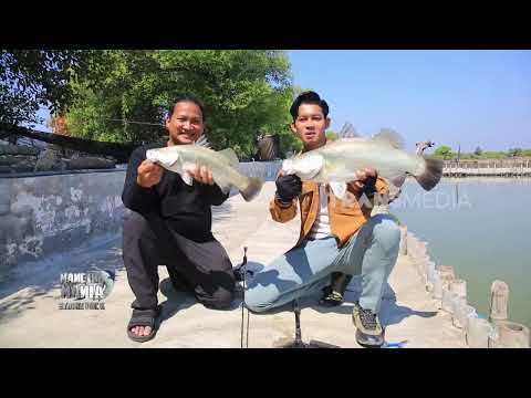 [FULL] VARIASI PREDATOR JAWA TIMUR | MANCING MANIA STRIKE BACK (09/08/26)