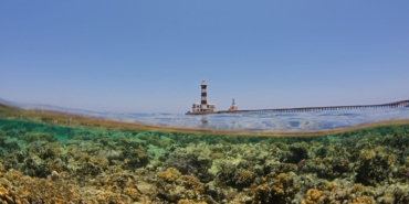 egypt’s-climate-resilient-‘super-corals’-are-starting-to-feel-the-heat