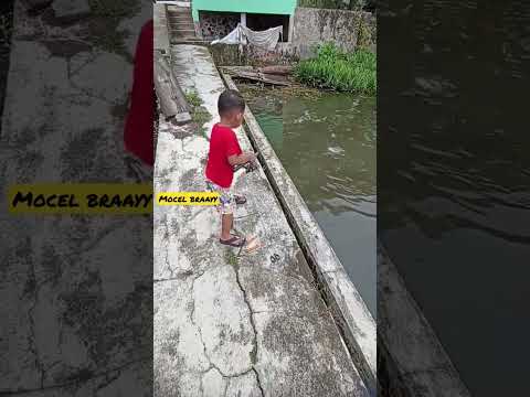 Mancing ikan nila mocel