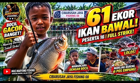 Bocil Gacor‼️ Mancing Bawal Full Strike di Cibarusah