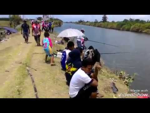 lomba mancing kakap putih kapolsek losari cirebon cup