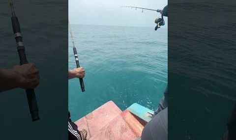 Mancing mania laut banten carita