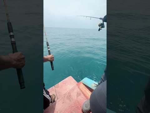 Mancing mania laut banten carita