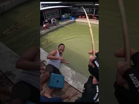 mancing perkara #spotmancing #fishing #mancingmania