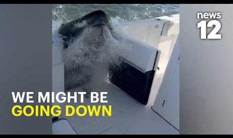 Caught on Video: Humpback whale slams boat in wild encounter