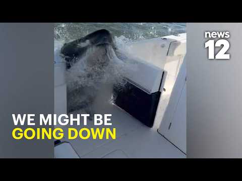 Caught on Video: Humpback whale slams boat in wild encounter