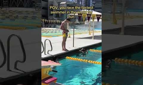 POV: You Race the Fastest Swimmer in the World for Fun