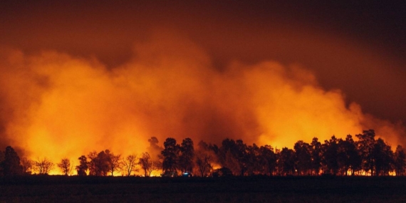 Apa Itu ASEAN Agreement on Transboundary Haze Pollution?