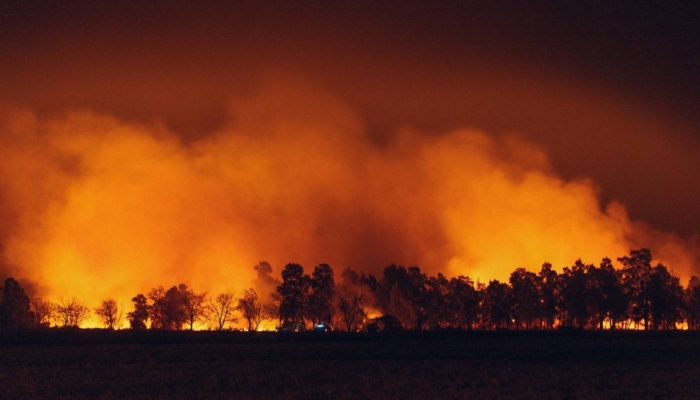 apa-itu-asean-agreement-on-transboundary-haze-pollution?