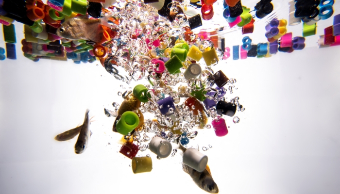 microplastics-react-with-water,-a-new-study-says.-that’s-a-problem-for-biology
